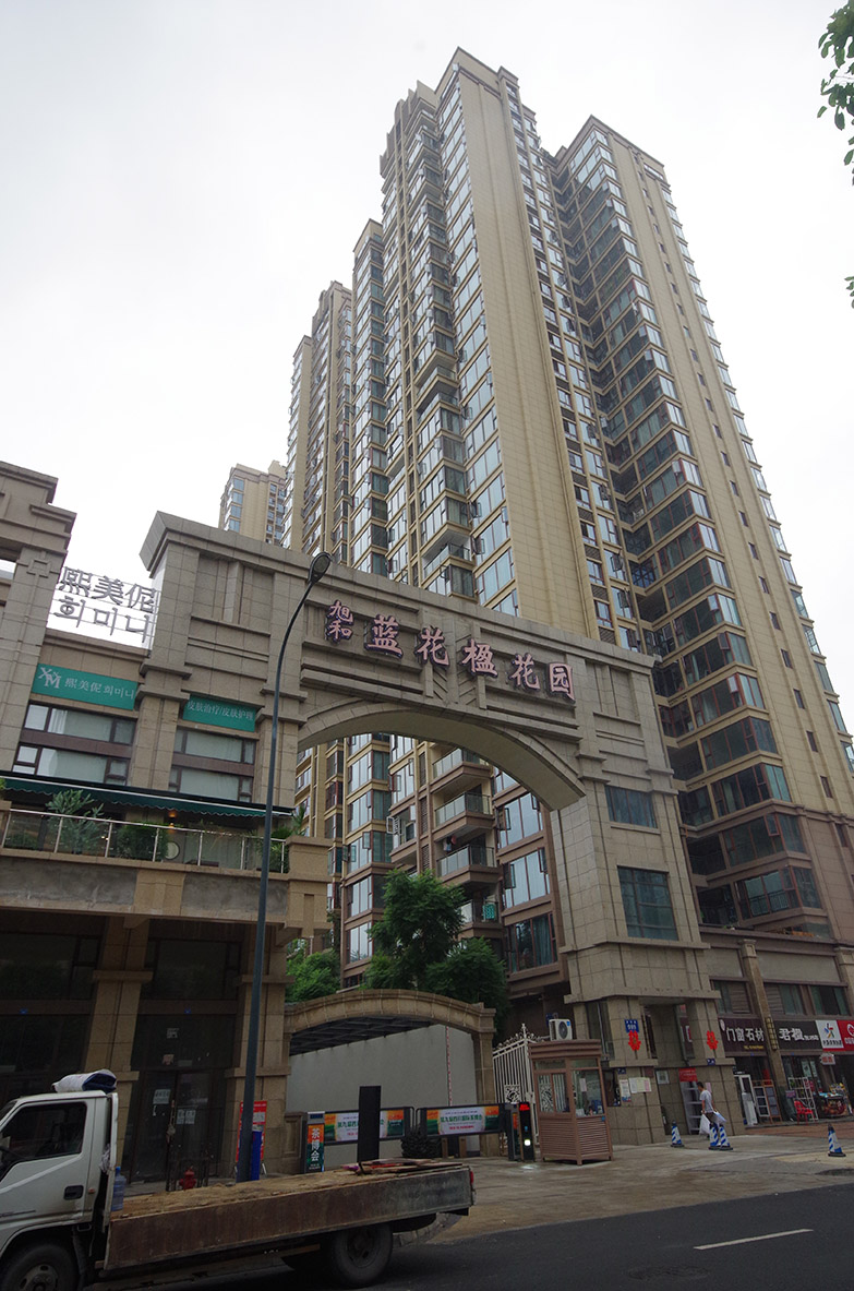蓝花楹4.JPG